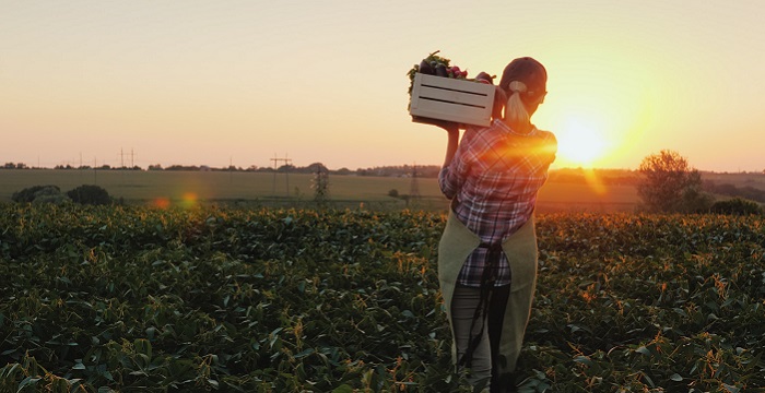 Farmer